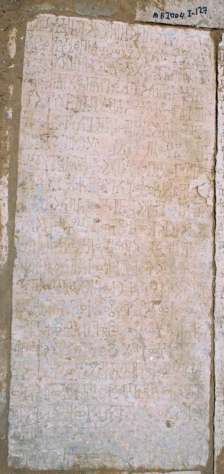 الذفيف 19 / AL-Dhafeef 19